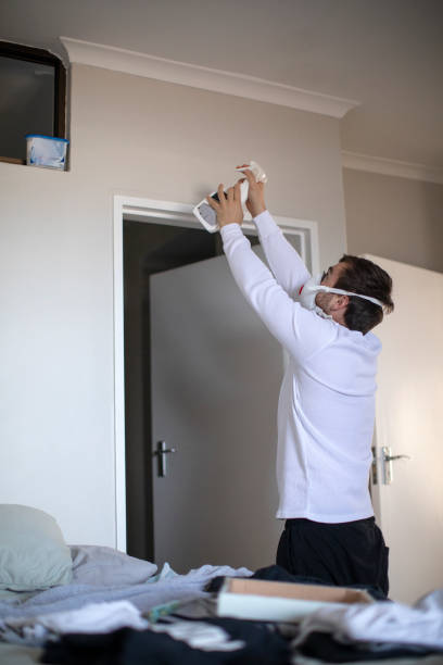 Best Water Damage & Mold Remediation  in Cairo, IL