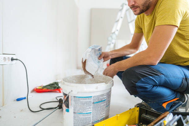 Best Industrial Mold Remediation  in Cairo, IL
