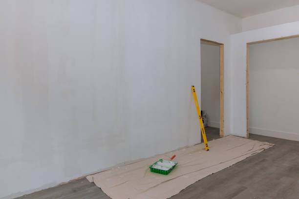 Best Biohazard Mold Removal  in Cairo, IL
