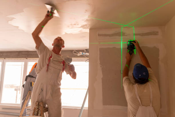 Best Commercial Mold Inspection  in Cairo, IL
