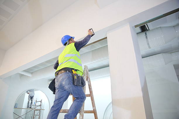 Best Environmental Consulting for Mold Prevention  in Cairo, IL
