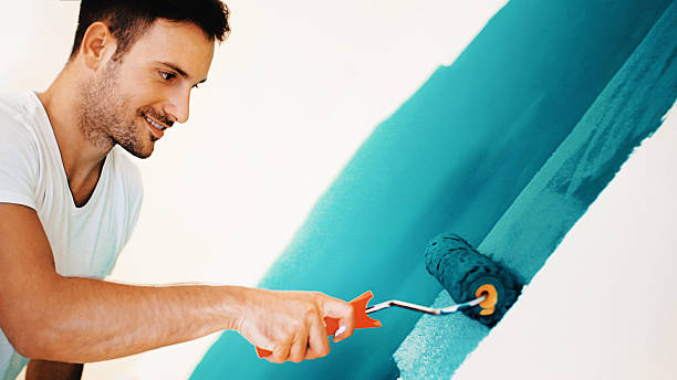 Best Attic Mold Removal  in Cairo, IL