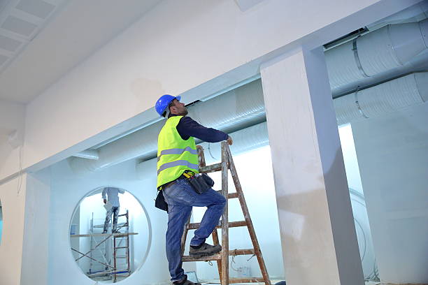  Cairo, IL Mold Removal Pros