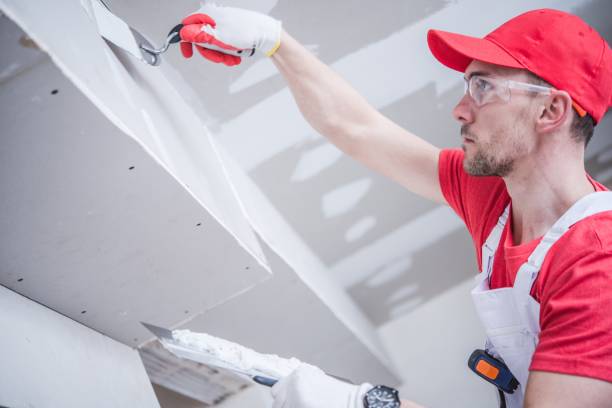 Best Mold Remediation for Healthcare Facilities  in Cairo, IL