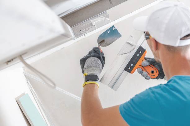 Trusted Cairo, IL Mold Removal Experts